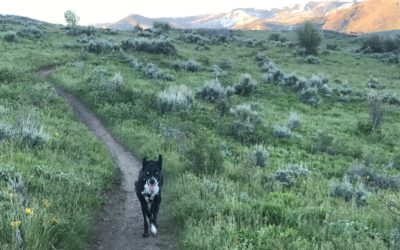 Park City! & Introducing the cast of characters: Puck