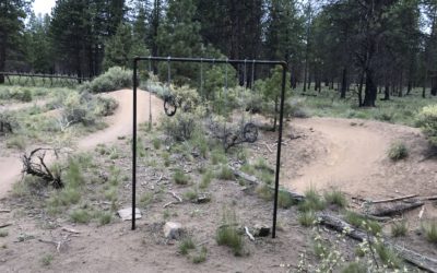 So many trails! And… Jeff & Jenny next door come to my rescue.