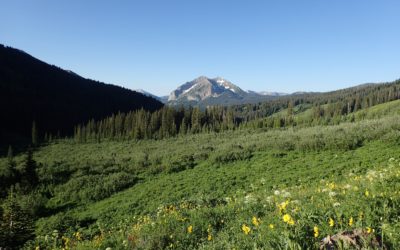 Back in the Butte after a whirlwind Denver trip. Now let’s talk about nutrition…