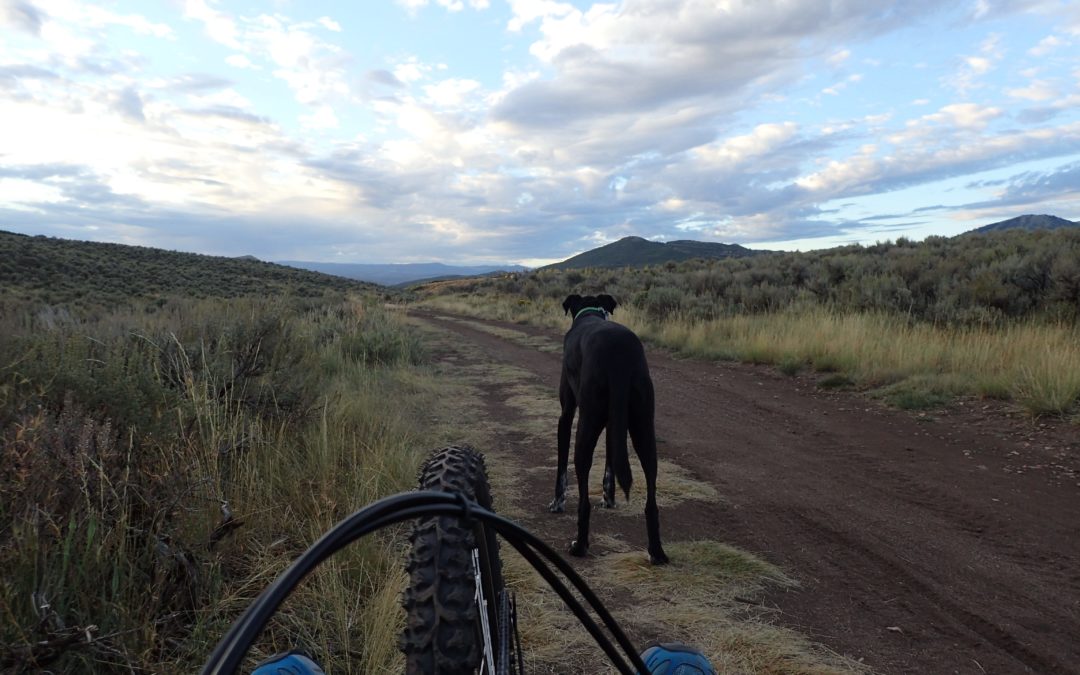 Headed home after tackling my first (itty bitty) section of single track.