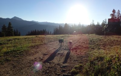 Run rejuvenation quest update: Program temporarily discontinued.