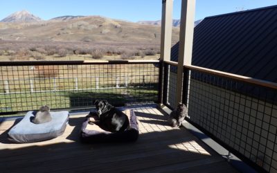 More proof Maya loves me. Setting my sights on ski season.
