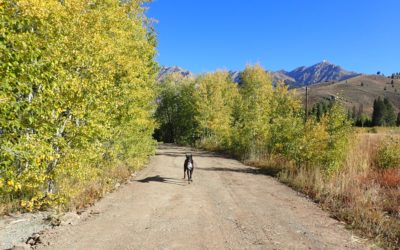 Sun Valley & Park City 2017 Take II: Three wheeling it.