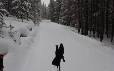 Re-learning how to run, jump and… snowplow?