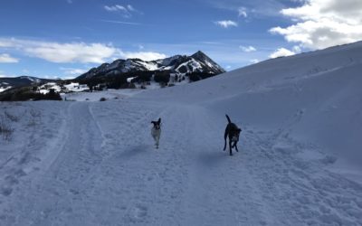 Back in the Butte! Checking in on my 2018 mission.