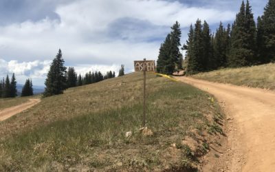 One Mile at a Time: 40 Miles with a Heavy Heart.