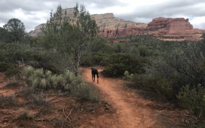 Sedona! Yoga! Amazon Lockers!